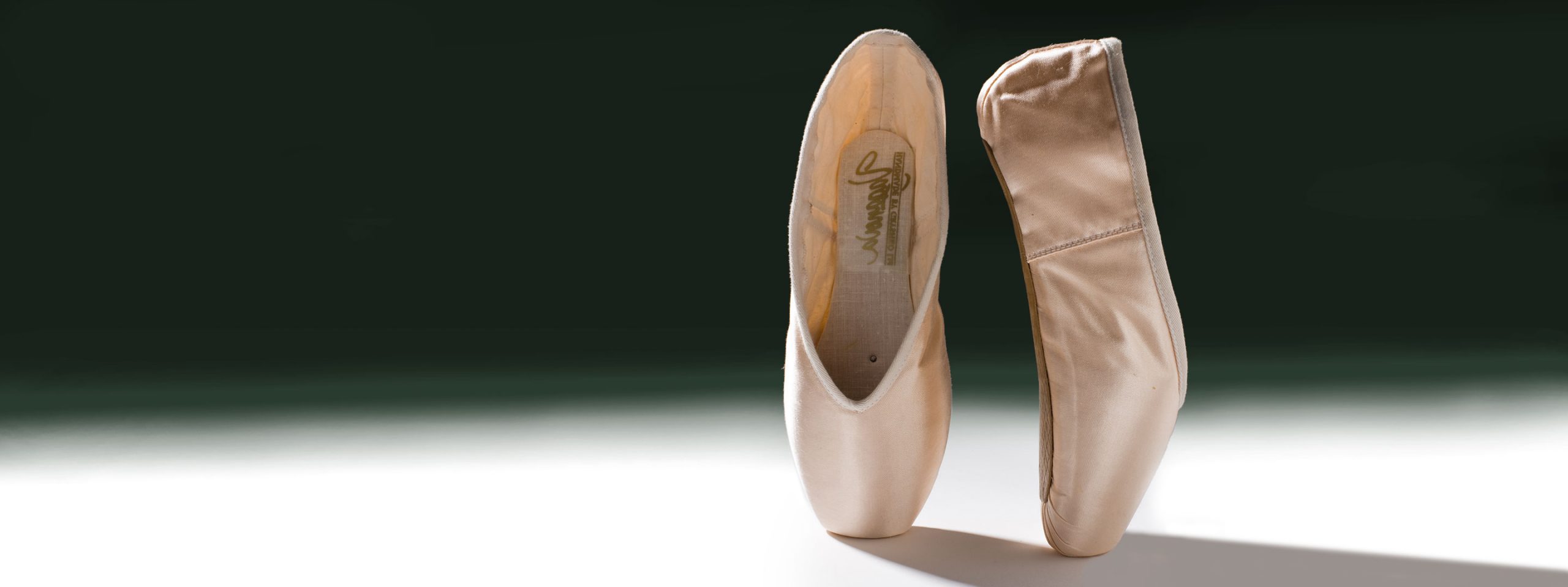 Ballet_Cover On Pointe: The Rise of the Ballet Shoe