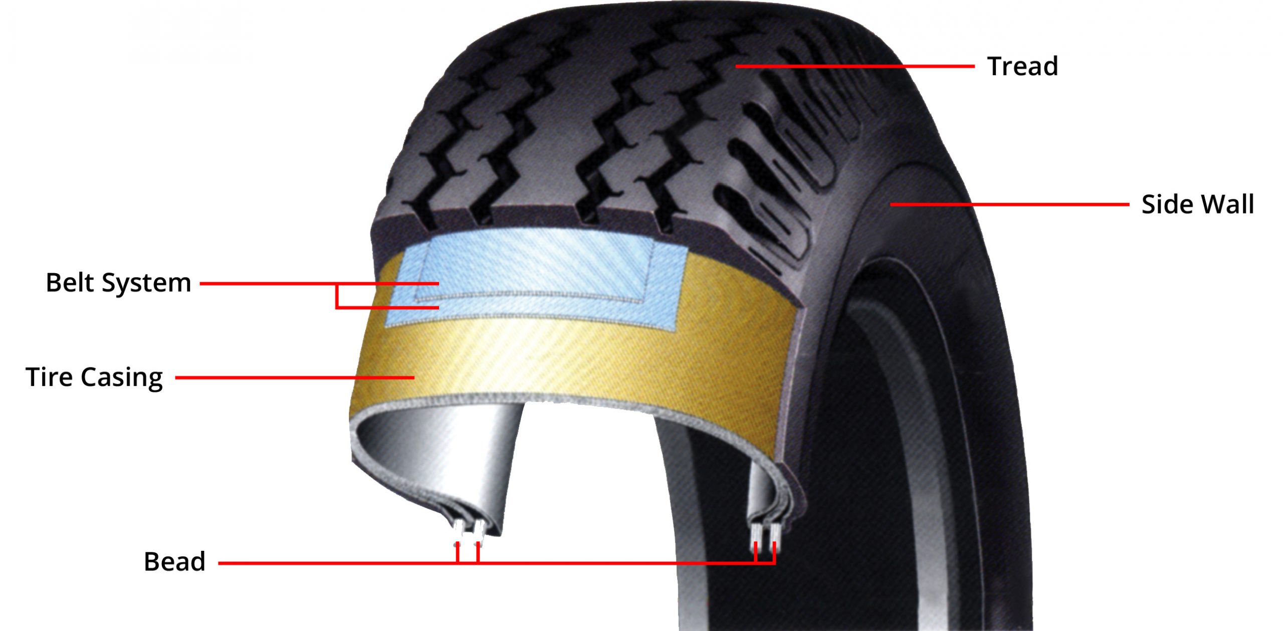 Tire Structure Diagram