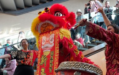 Year of the Snake Celebration at the BSM