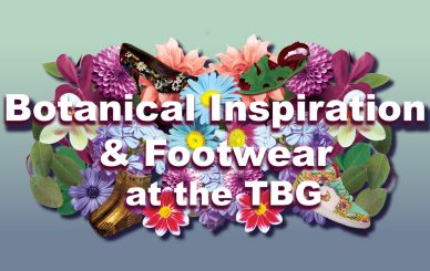 Botanical Inspiration + Footwear Panel Discussion at the TBG