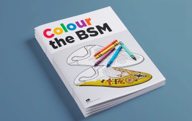 Colour the BSM