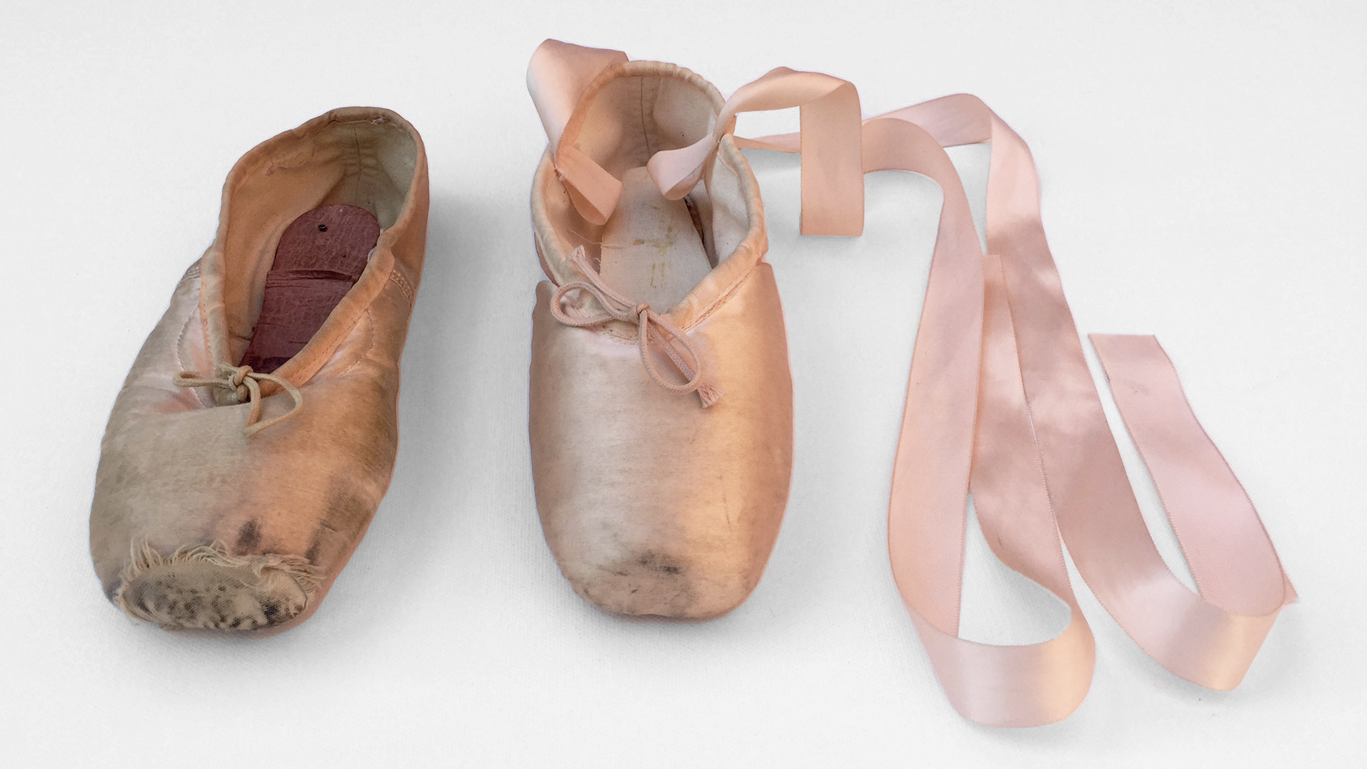 Professional on sale ballet slippers